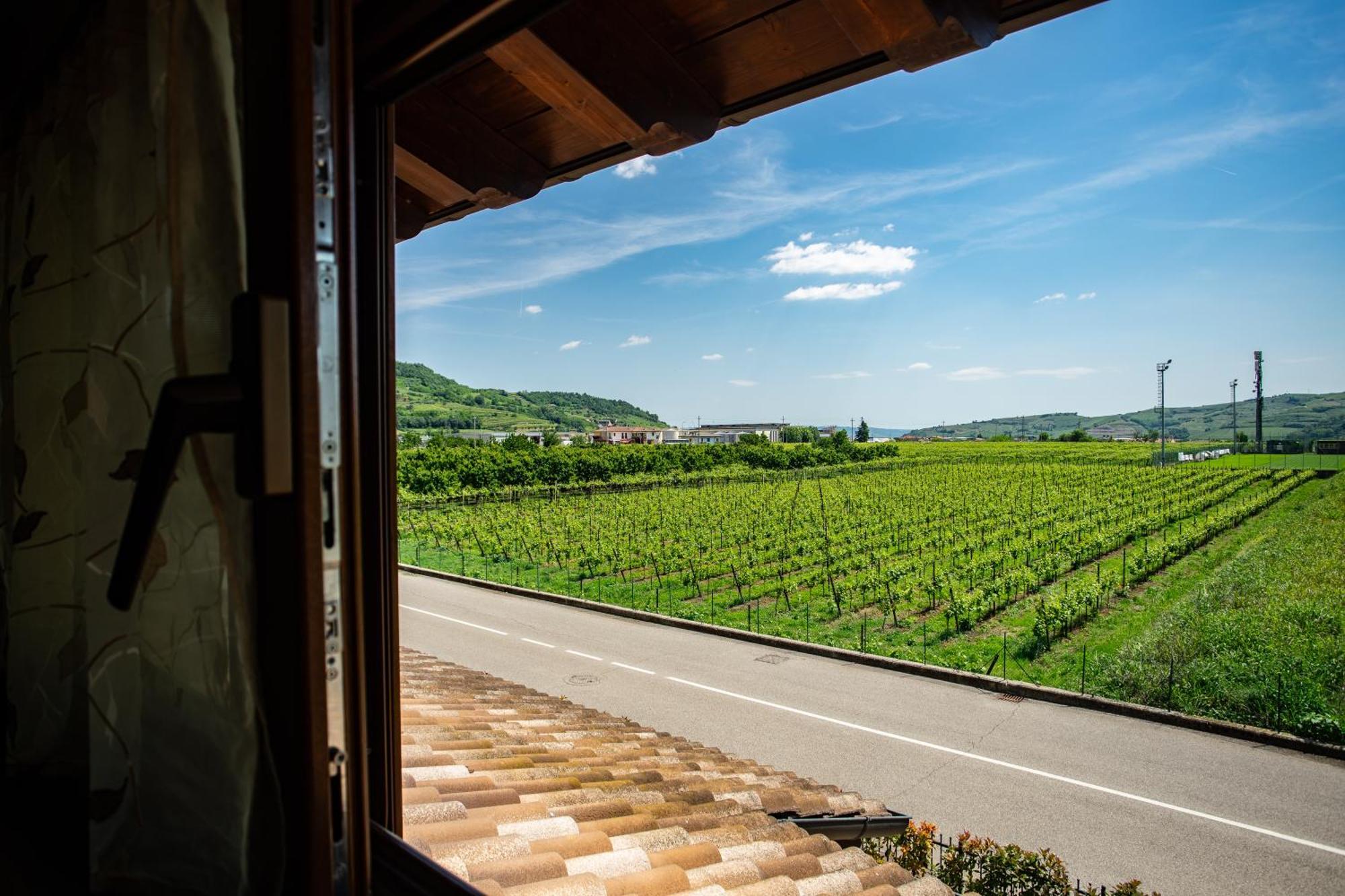 Casa Oliver Montecchia di Crosara Номер фото